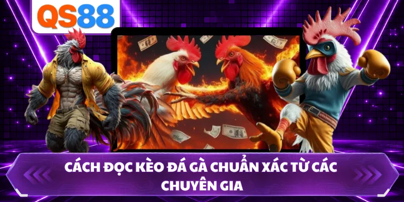 Cách đọc kèo đá gà chuẩn xác từ các chuyên gia 