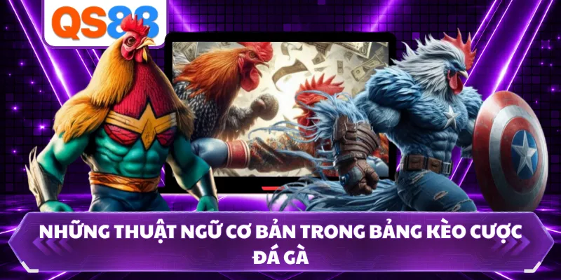 Những thuật ngữ cơ bản trong bảng kèo cược đá gà